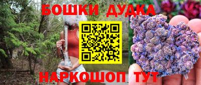 мдпв Новодвинск