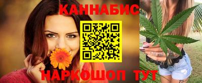 индика Новозыбков