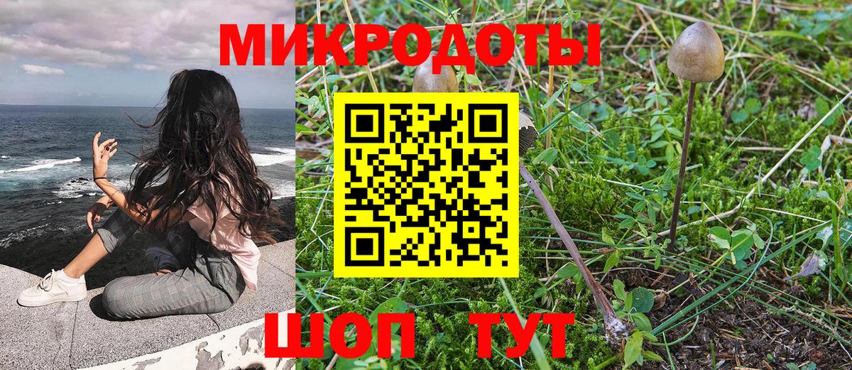 Псилоцибиновые грибы Psilocybe Белгород