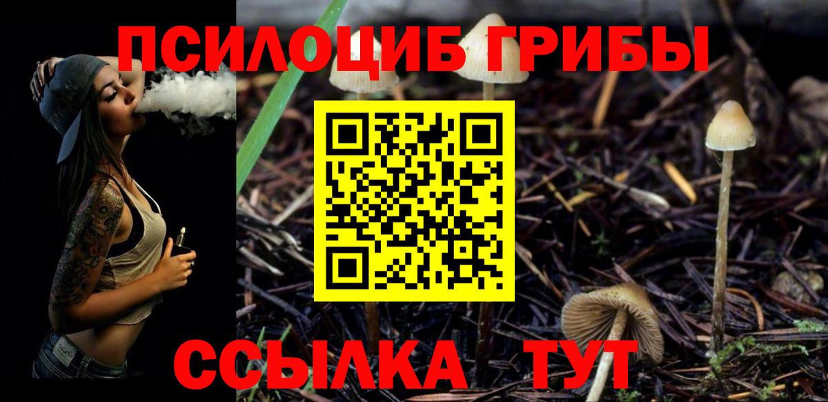 Белгород  Псилоцибиновые грибы Cubensis  Вход с VPN 